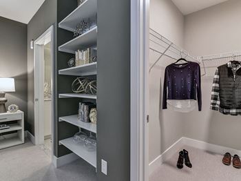 Built-in shelves*